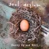 Soul Asylum Hurry Up and Wait