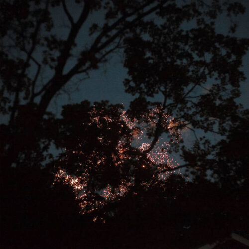 Gleemer Down Through